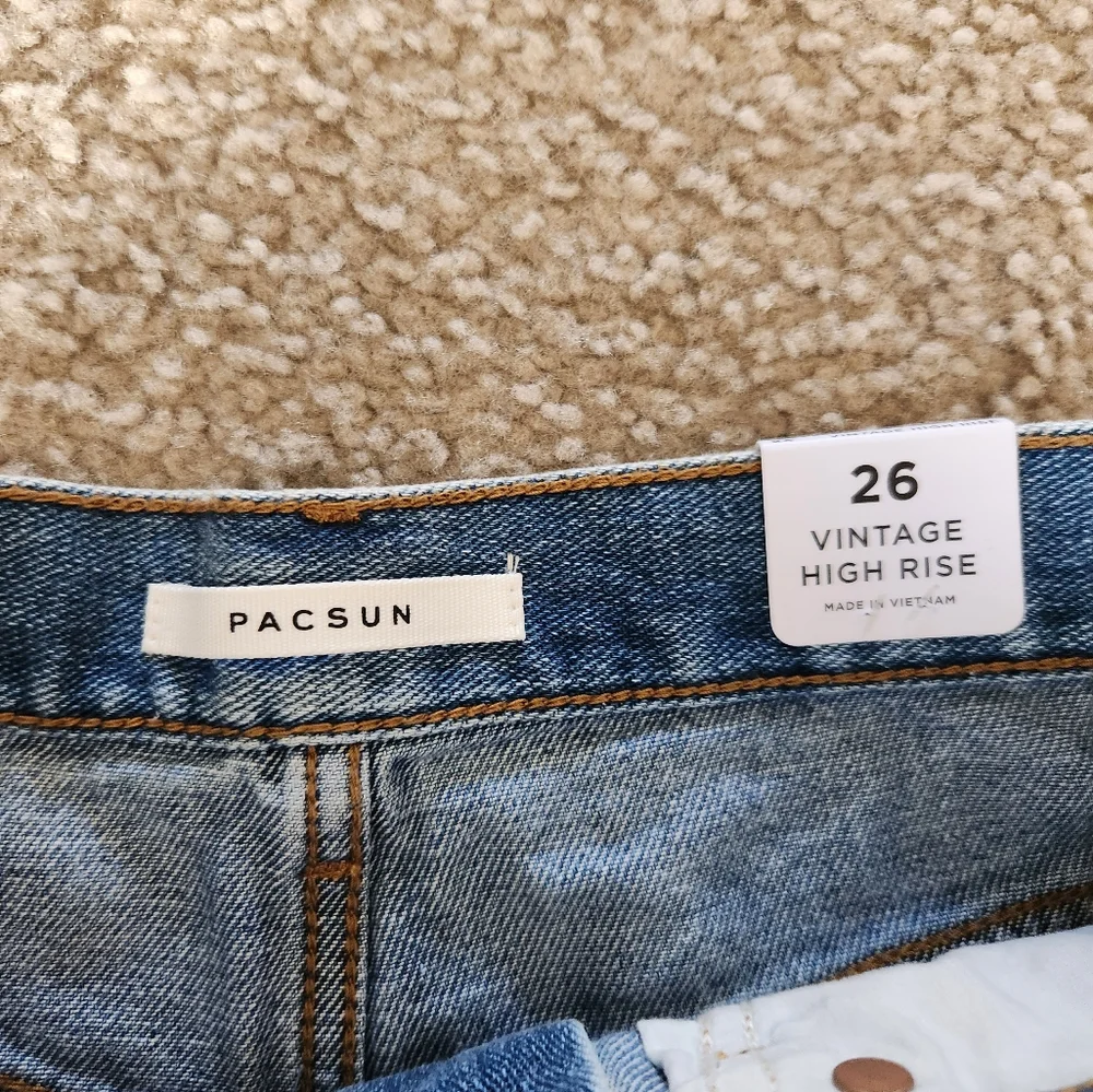 Pacsun Vintage High Rise Shorts